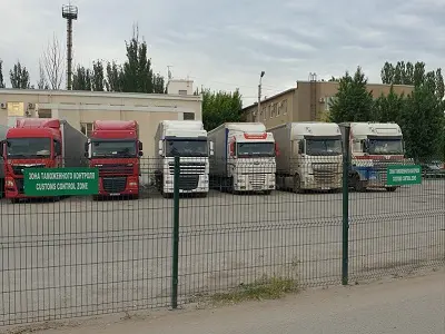 фото автомобилей в таможне